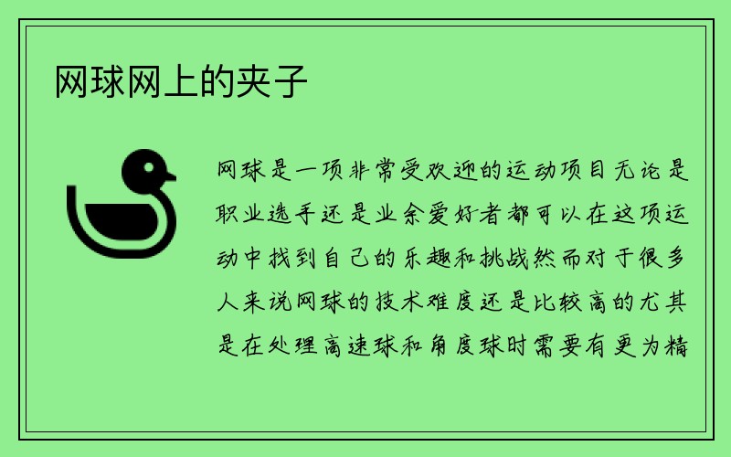 网球网上的夹子